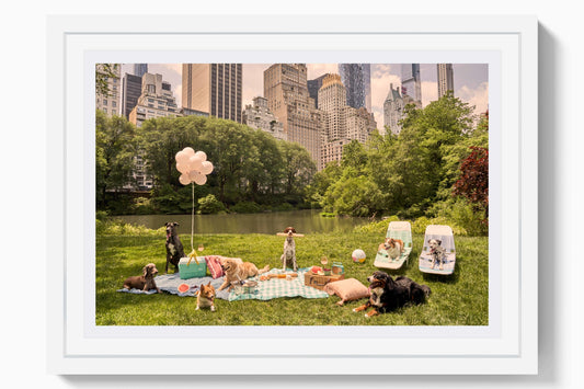 Picnic Party, Central Park Mini