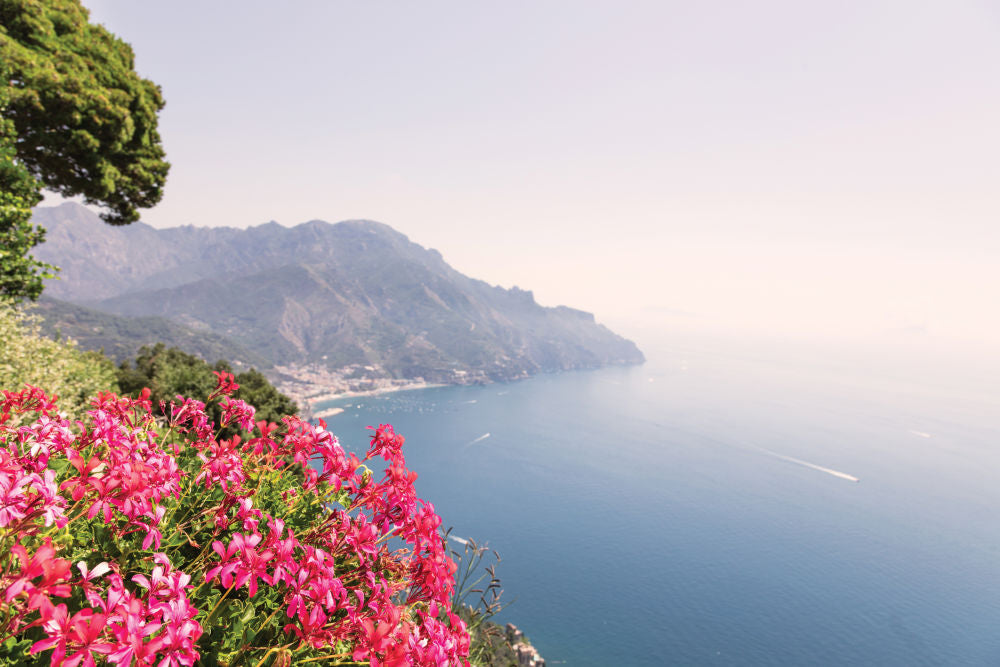 Pink Flowers, Ravello, Oversized White Frame, Final Sale