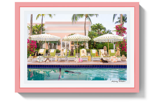 Product image for Pool Day, The Colony Hotel, Pink Frame