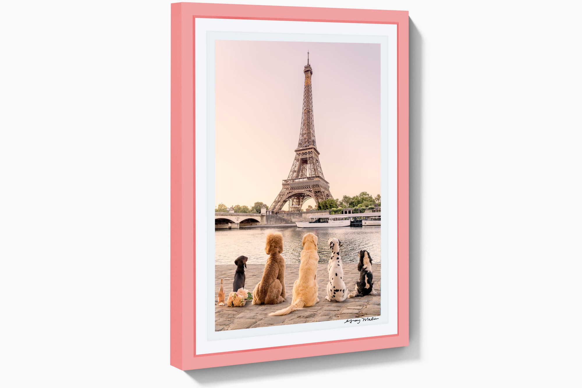 Seine River Sunset, Paris, Pink Frame