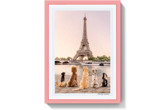 Seine River Sunset, Paris, Pink Frame