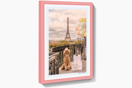 Product image for Shopping Spree, Hôtel Plaza Athénée, Pink Frame