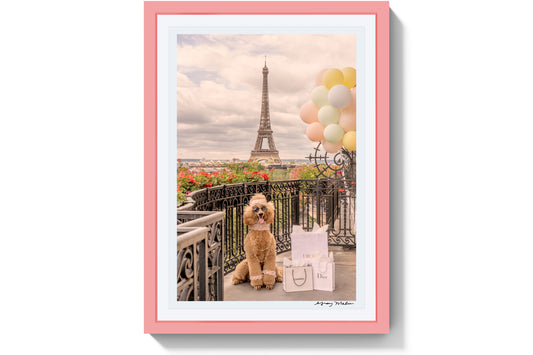 Product image for Shopping Spree, Hôtel Plaza Athénée, Pink Frame