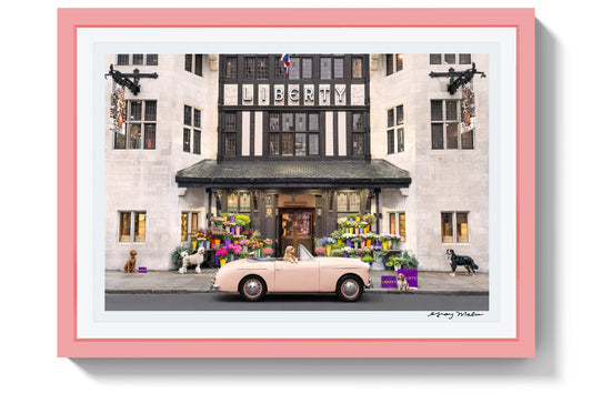 Shopping Spree, Liberty London, Pink Frame