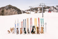 Ski School Pups, Aspen
