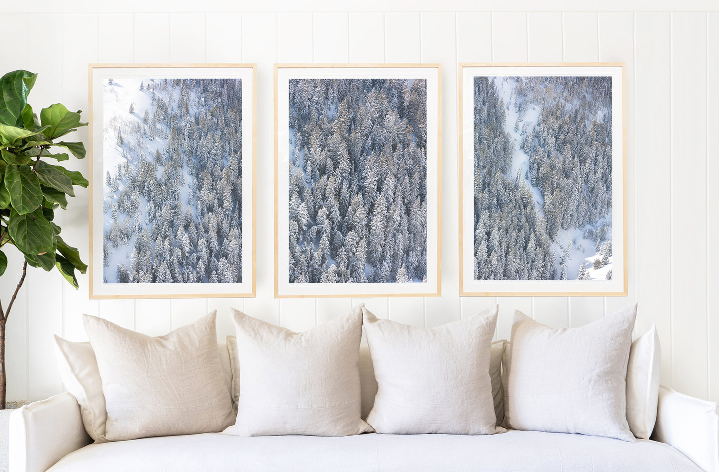 Snowy Pines Triptych