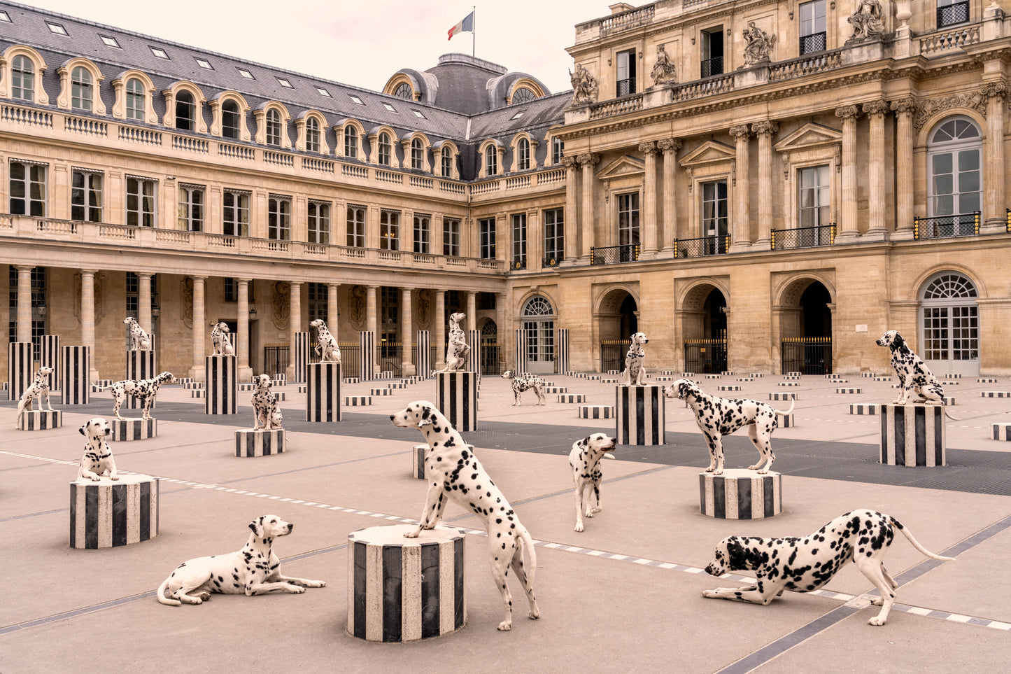 Spotted at Palais Royal, Paris, Small Black Frame, Final Sale