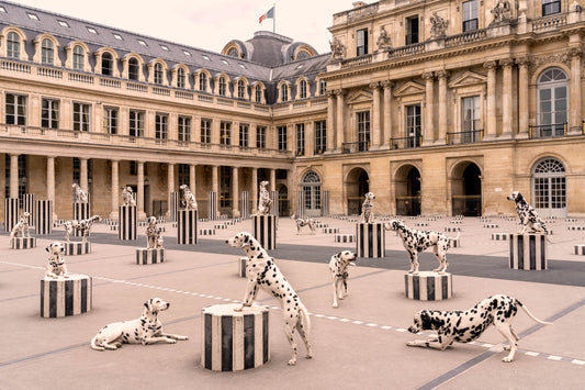 Product image for Spotted at Palais Royal, Paris, Small Black Frame, Final Sale