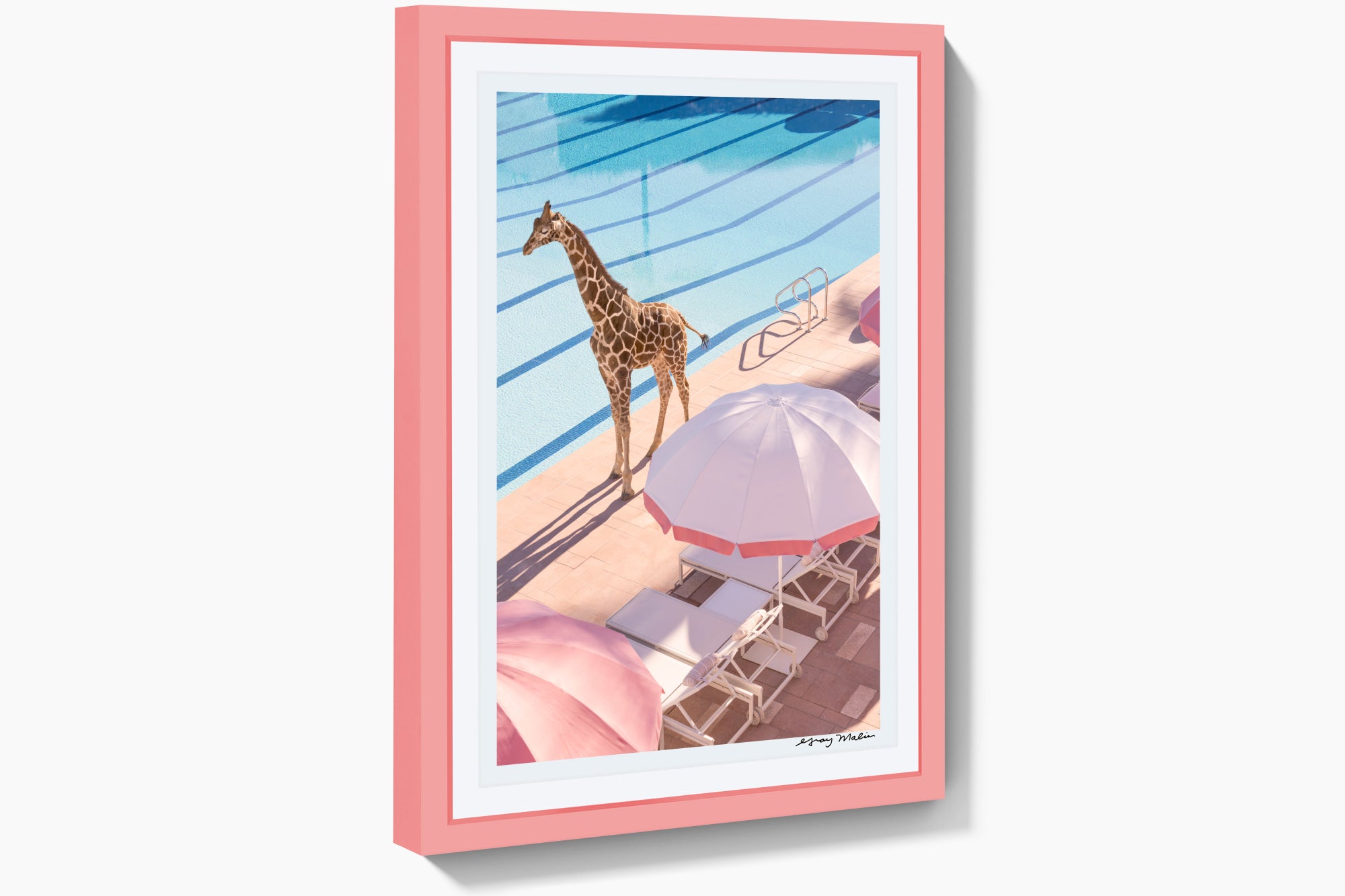 Spotted Poolside, Coral Casino, Pink Frame