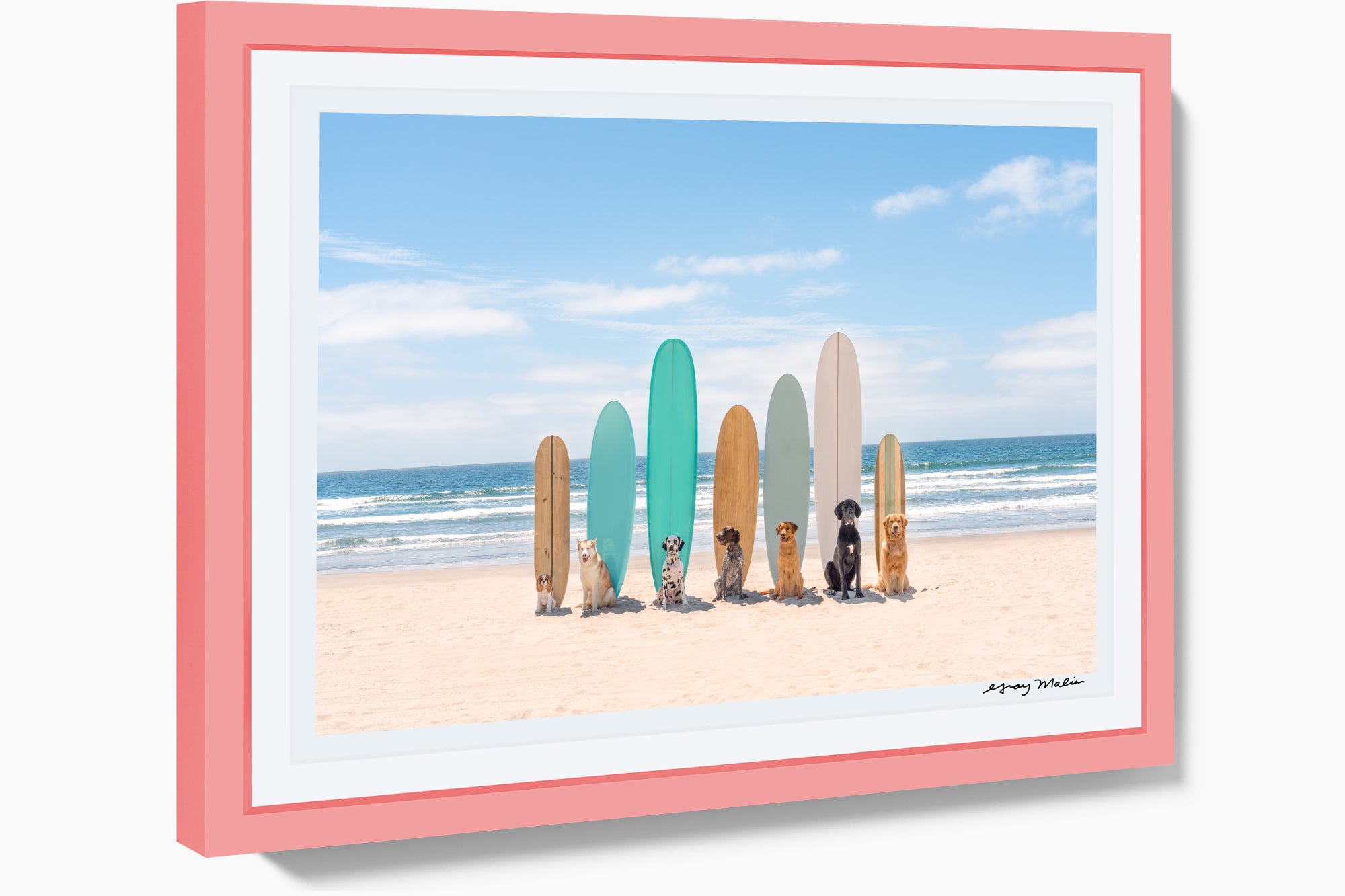 Surf's Up, San Diego, Pink Frame