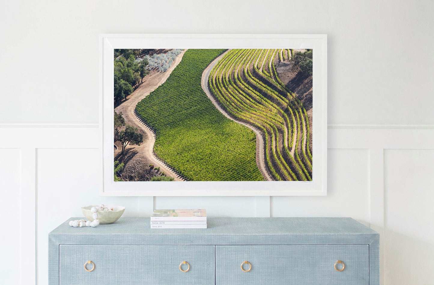 Terraced Vineyards, Napa Valley