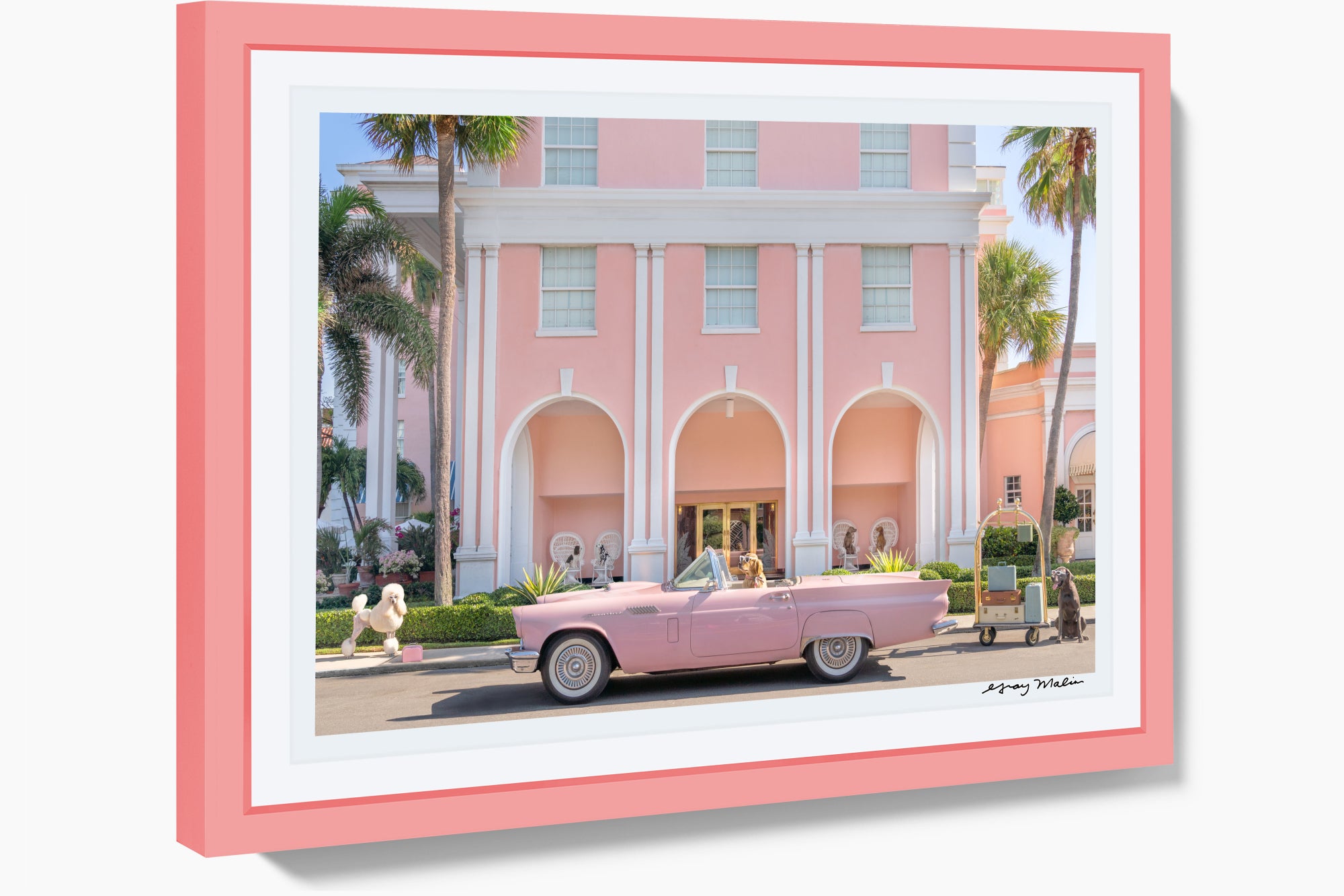 The Arrival, The Colony Hotel, Pink Frame