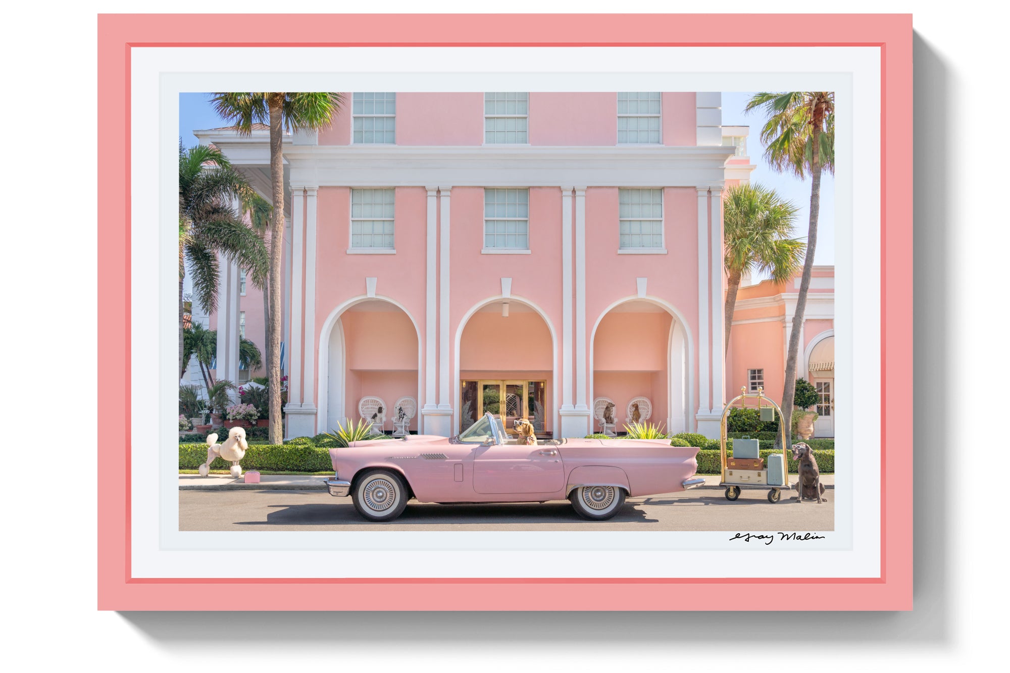 The Arrival, The Colony Hotel, Pink Frame