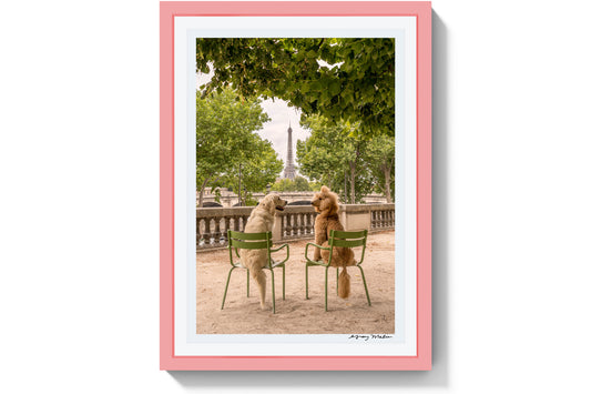 Product image for The Couple, Jardin de Tuileries, Paris, Pink Frame