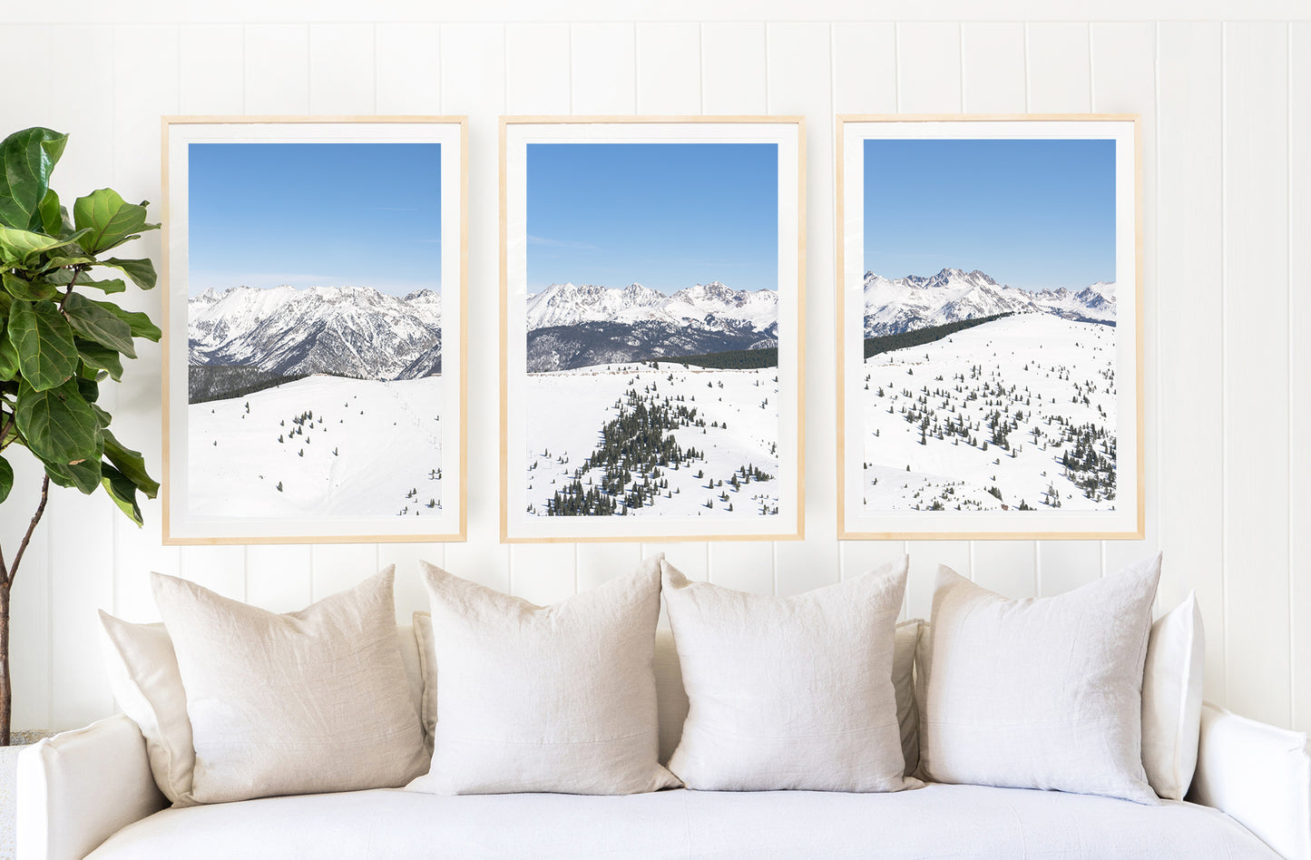 The Legendary Back Bowls Triptych, Vail