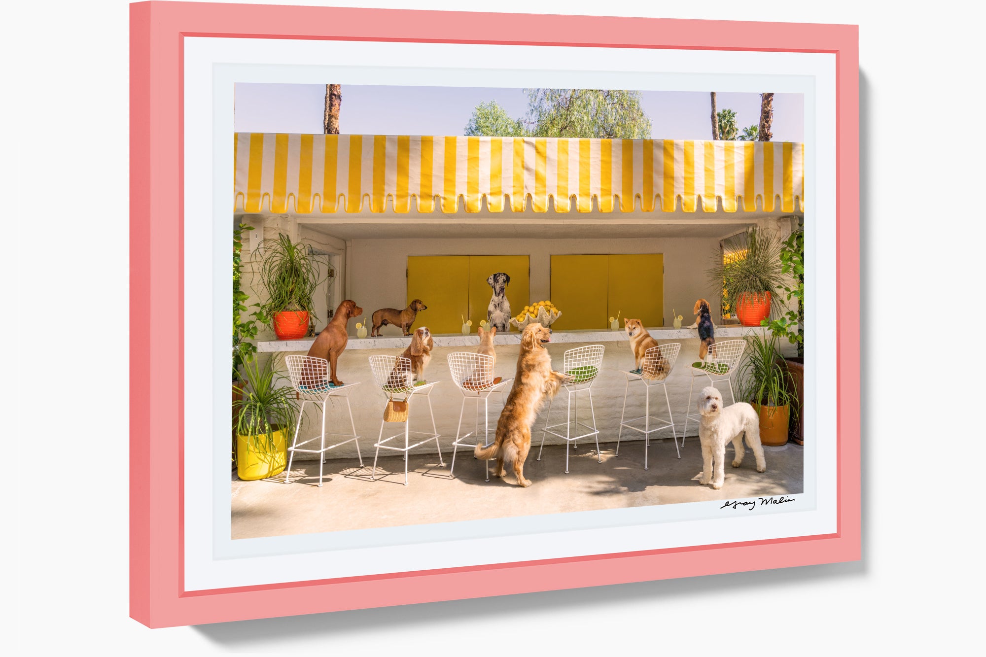 The Lemonade Stand, Parker Palm Springs, Pink Frame