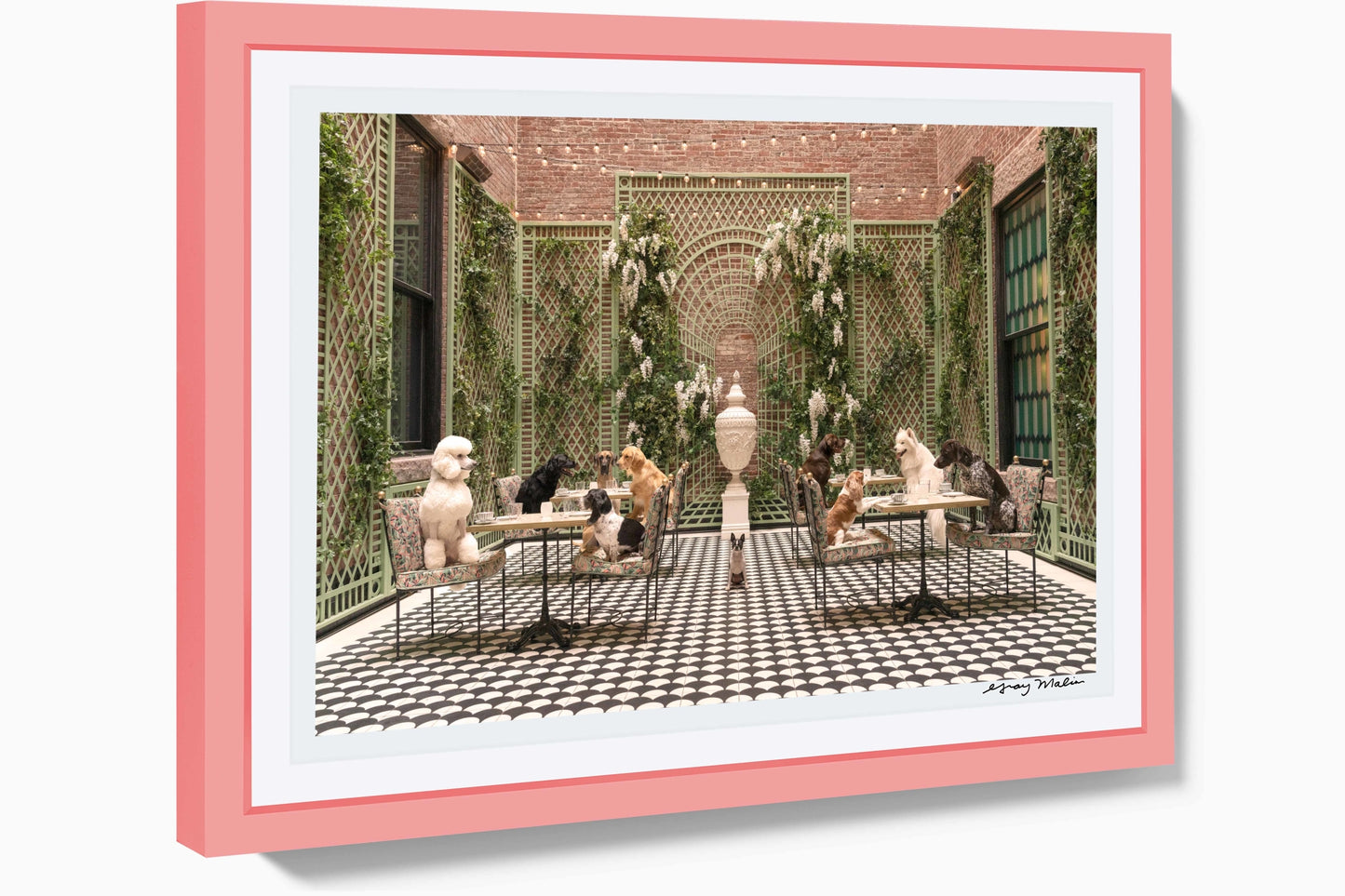 The Terrace, 'Quin House, Boston, Pink Frame