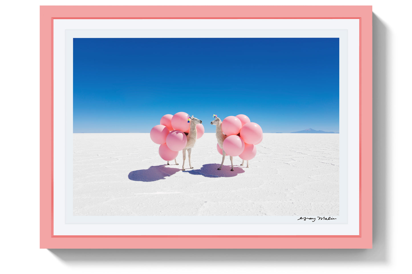 Two Llamas with Pink Balloons, Pink Frame