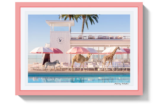 Product image for Wild at the Coral Casino, Pink Frame