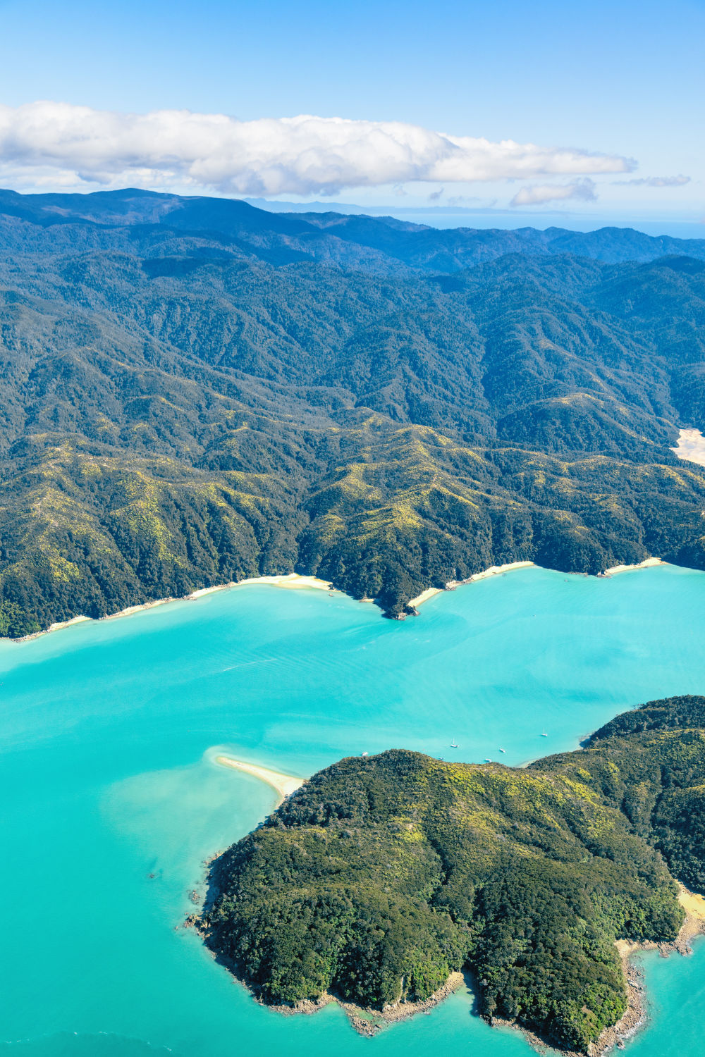 Abel Tasman National Park Triptych, New Zealand