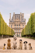 Afternoon Stroll, Jardin de Tuileries, Paris