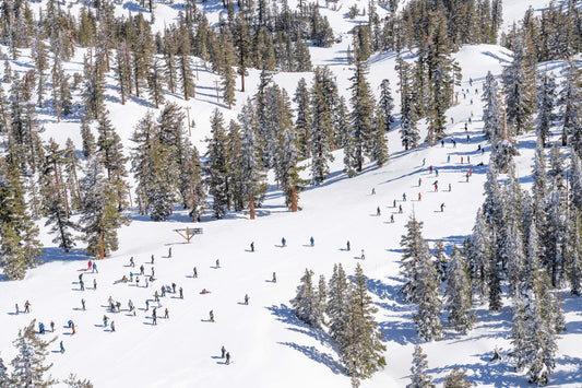 Product image for Alpine Skiers, Lake Tahoe