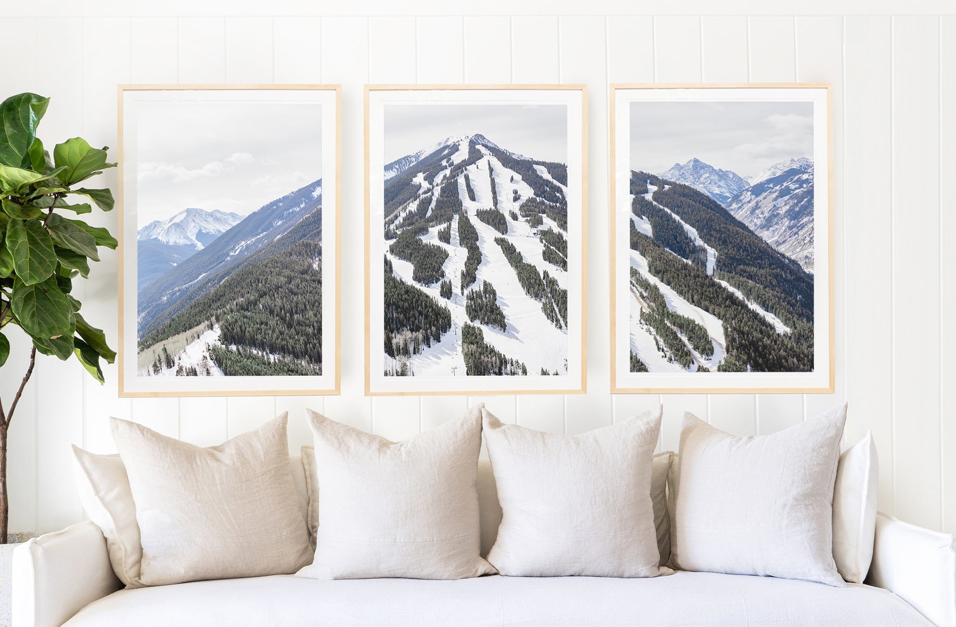 Aspen Highlands Triptych