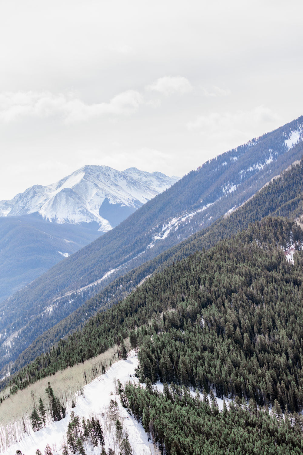 Aspen Highlands Triptych