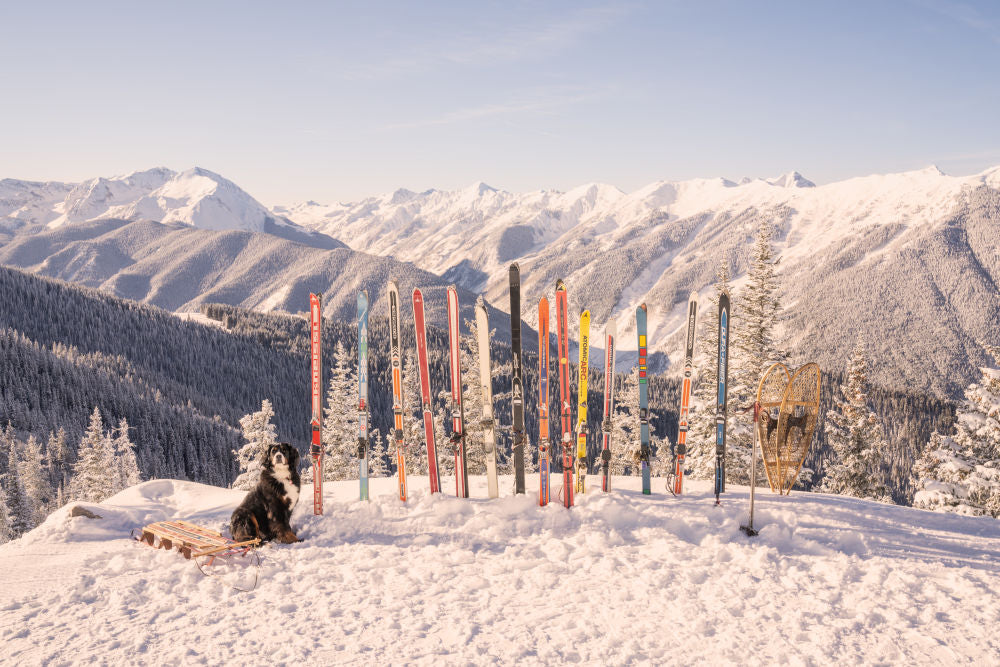 Aspen Mountain Vista