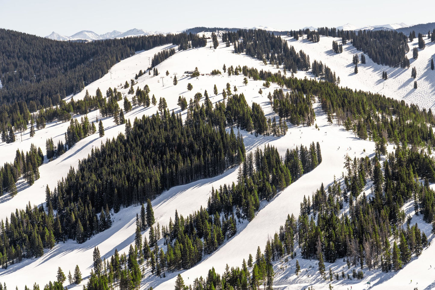 Avanti Slopes, Vail