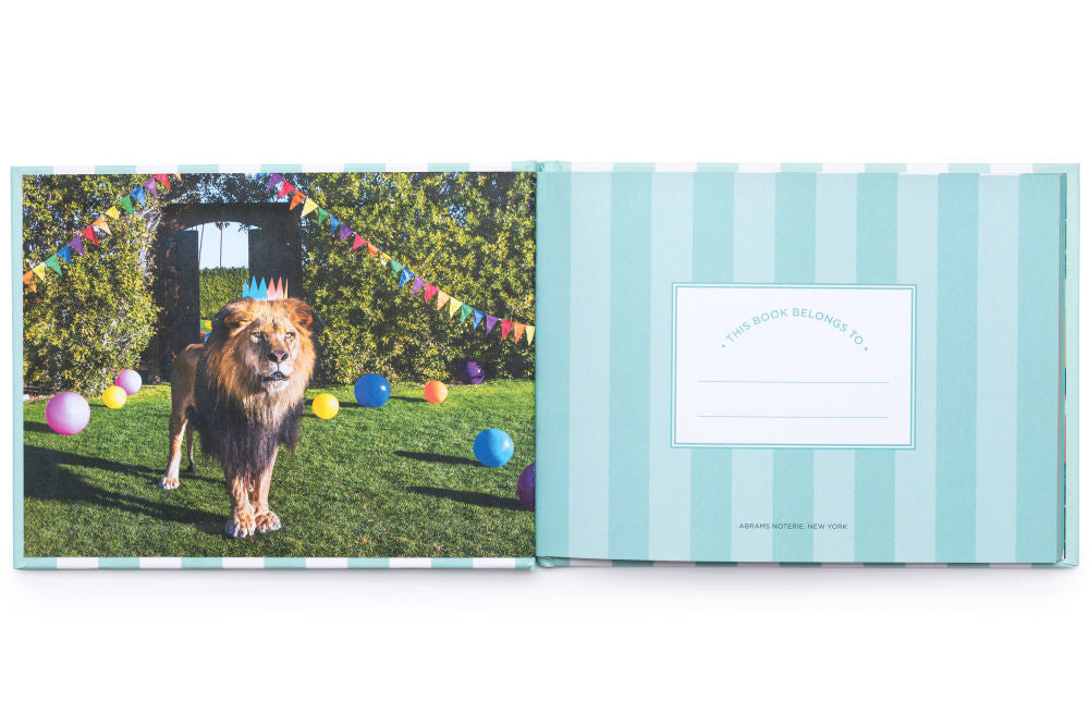 Baby Album & Photo Prop Card Set