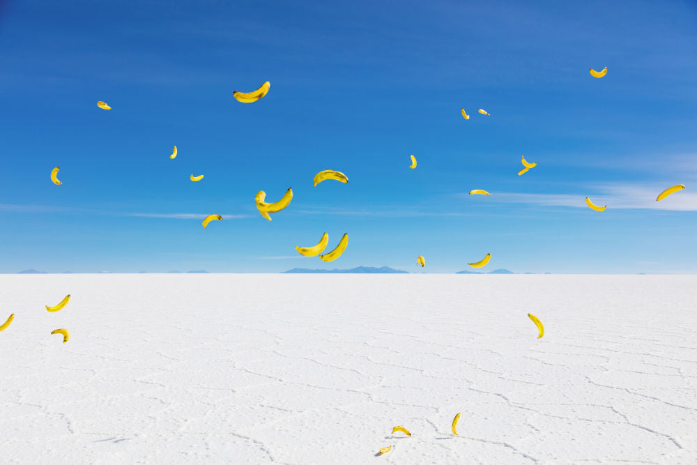 Photography by Gray Malin of Bananas III