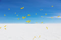 Bananas III