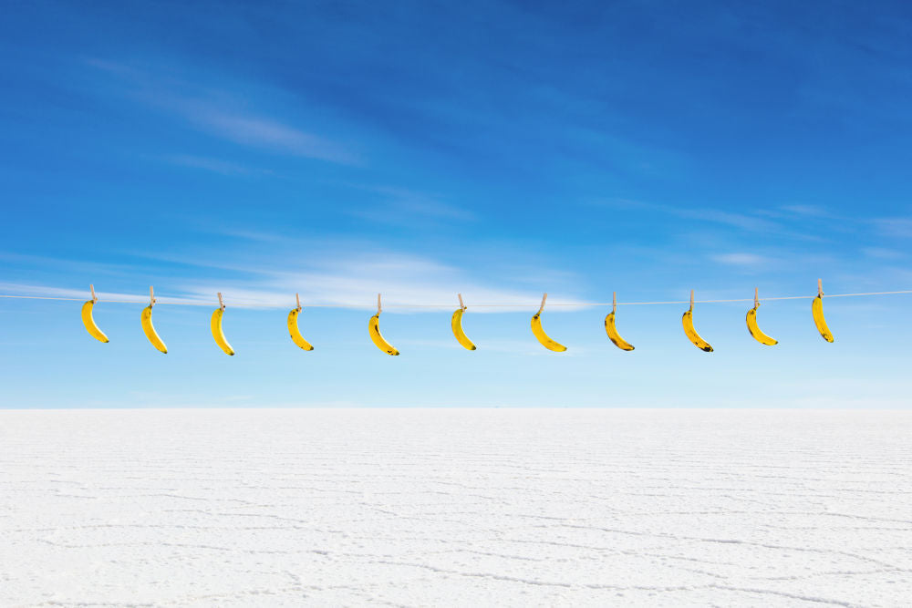 Photography by Gray Malin of Bananas II