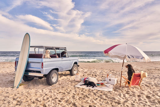 Beach Picnic, Nantucket