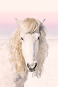 Blonde Ambition