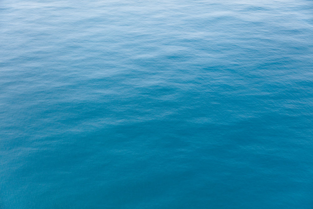 Blue Ocean, New Zealand