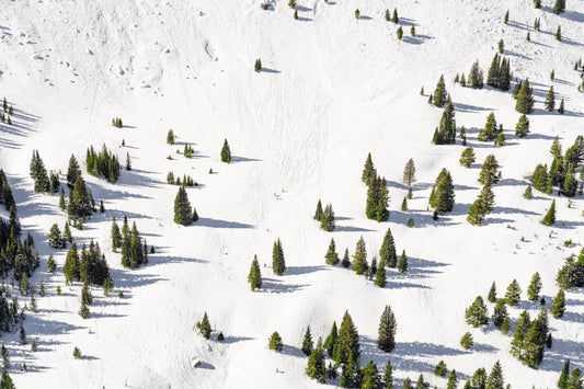 Product image for Blue Sky Basin, Vail