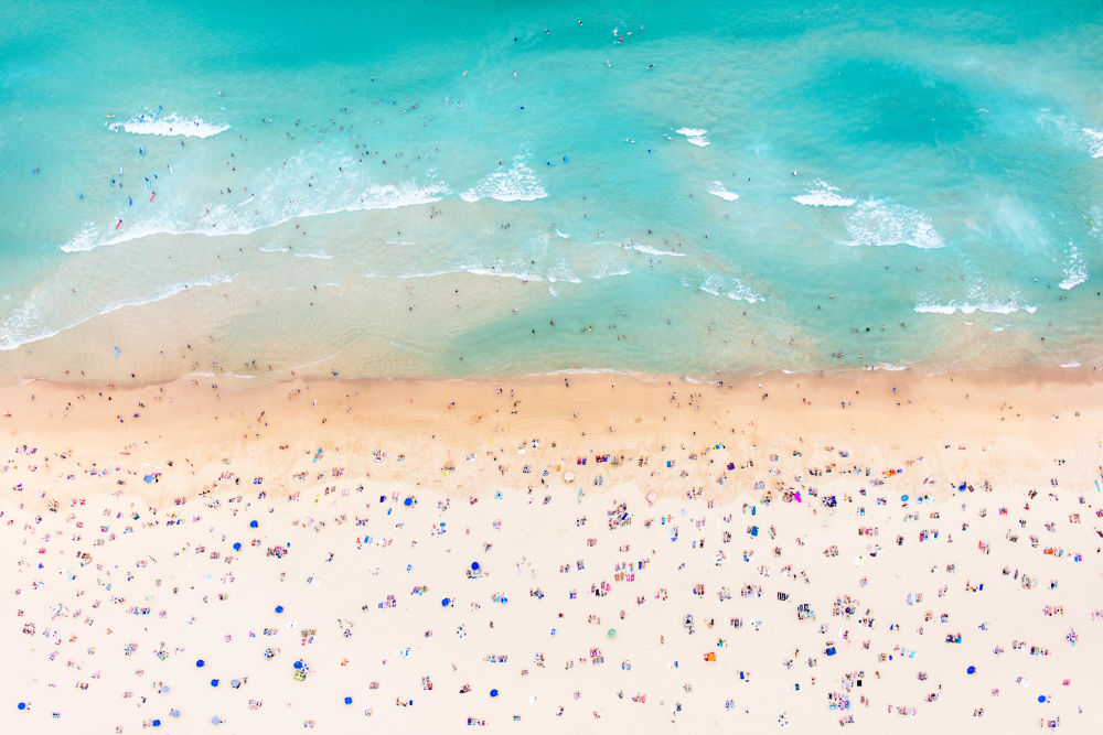 Bondi Beach Landscape