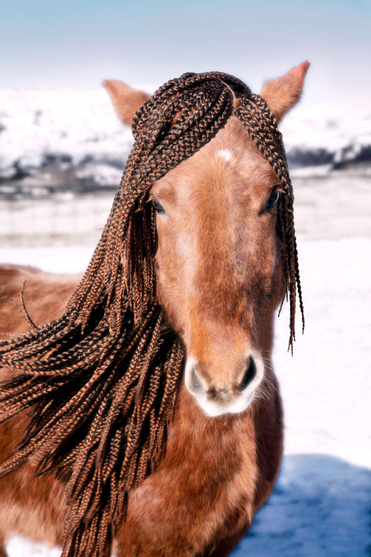 Product image for Braided Beauty