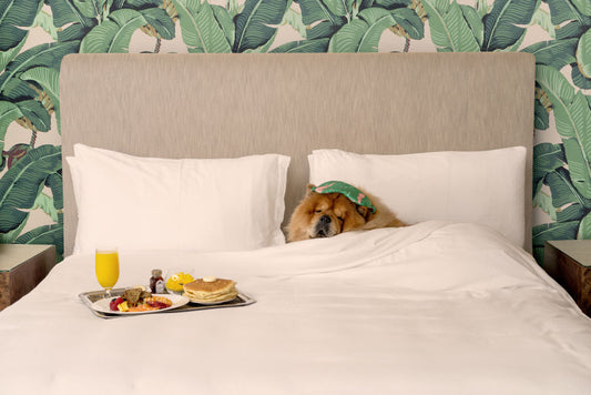 Product image for Breakfast in Bed, The Beverly Hills Hotel