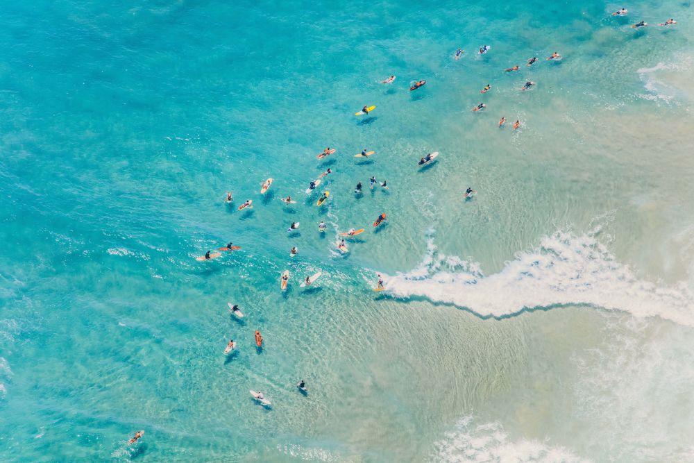 Byron Bay Surfers