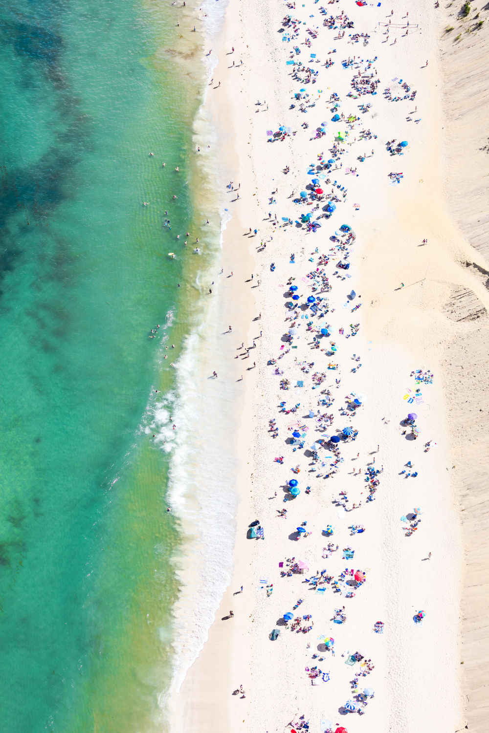 Cahoon Hollow Beach Vertical, Cape Cod