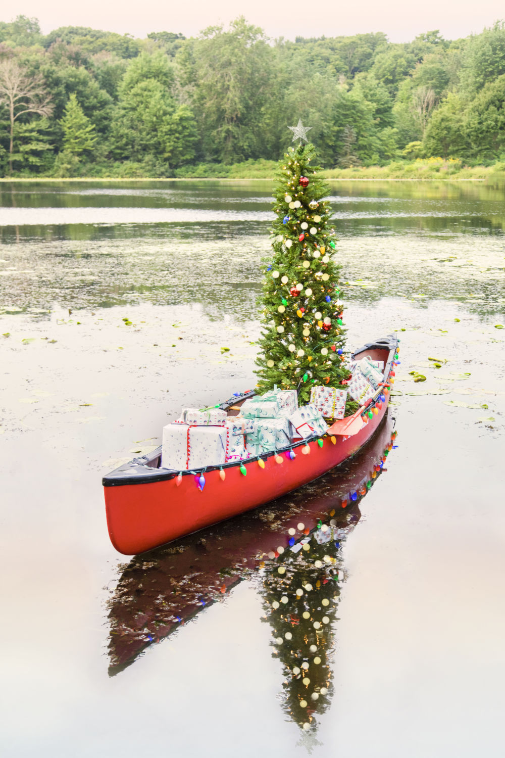 Holiday Canoe