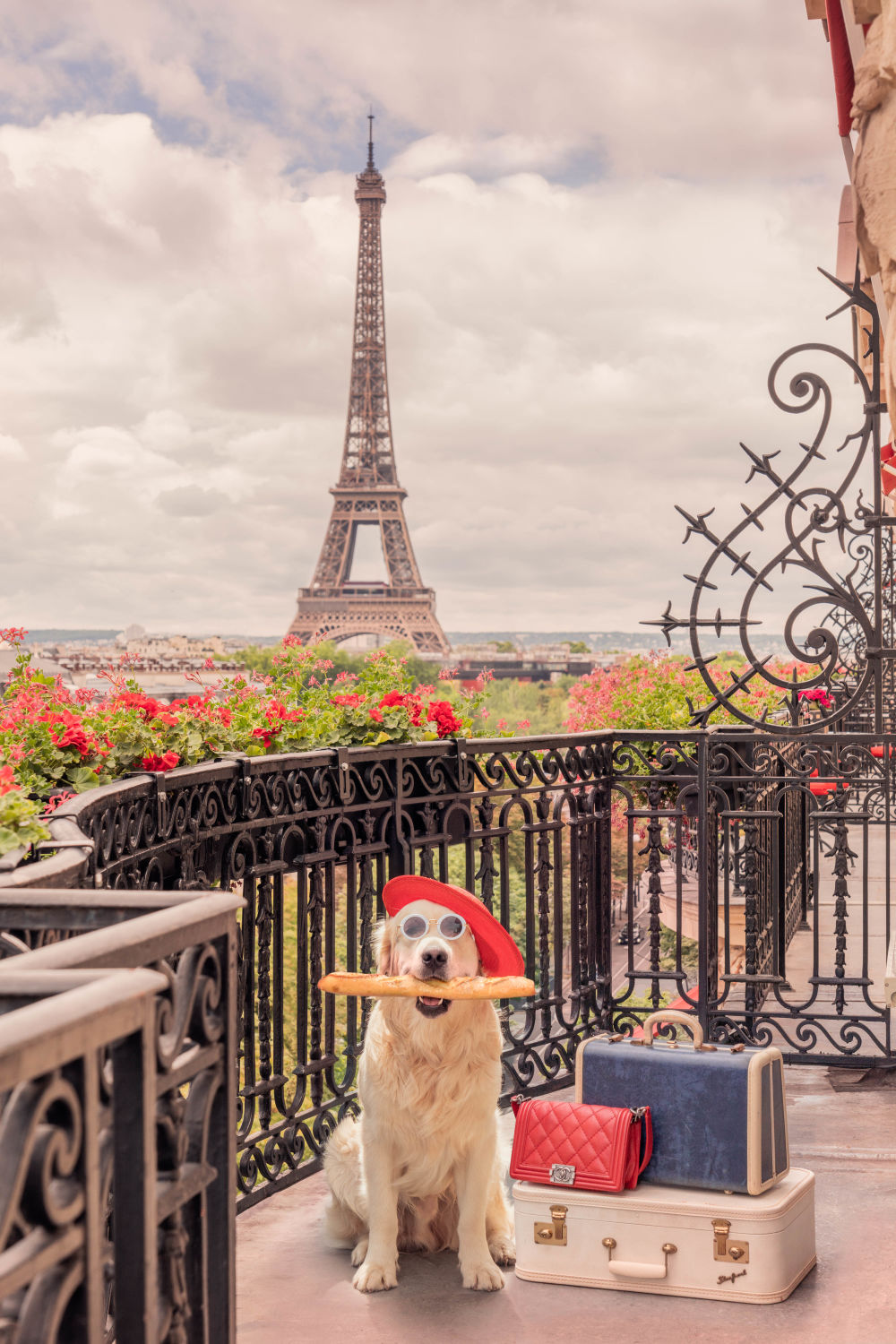 Checking In, Hôtel Plaza Athénée – Gray Malin
