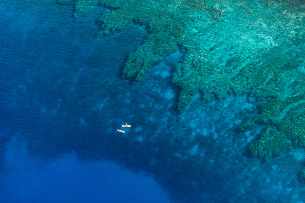 Deep Sea Paddle Boarders