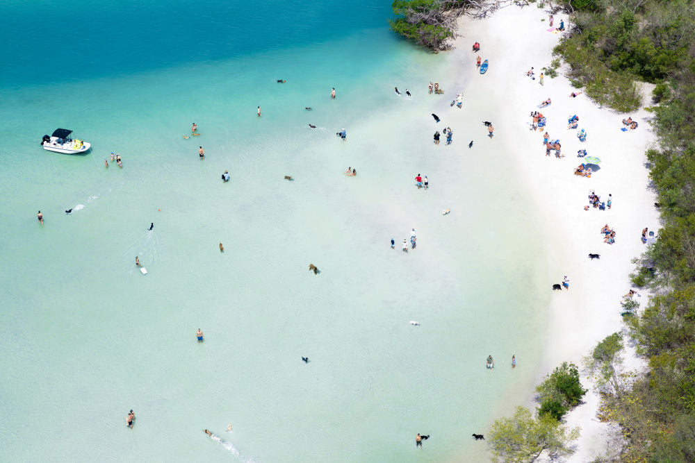 Dog Beach Park, Bonita Springs, Florida