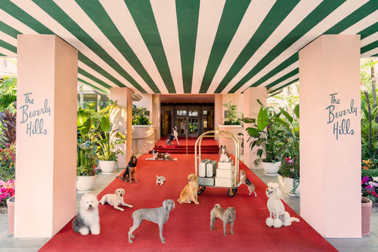 Product image for Dogs at The Beverly Hills Hotel