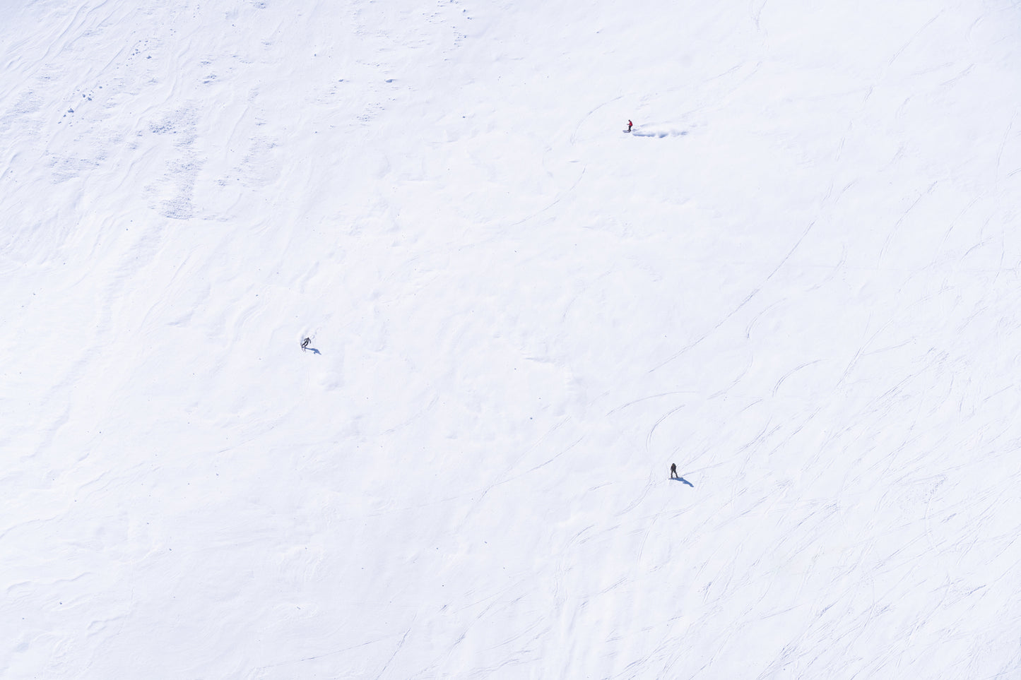 Downhill Skiers, Palisades, Lake Tahoe