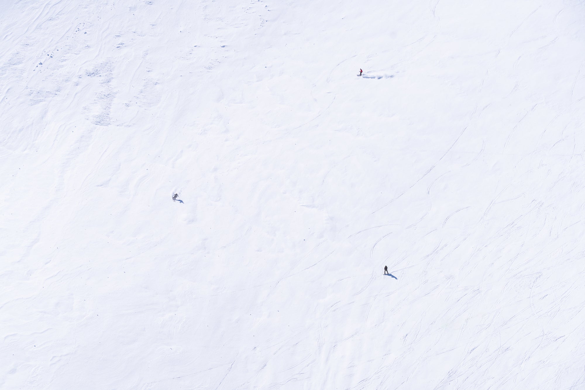 Downhill Skiers, Palisades, Lake Tahoe